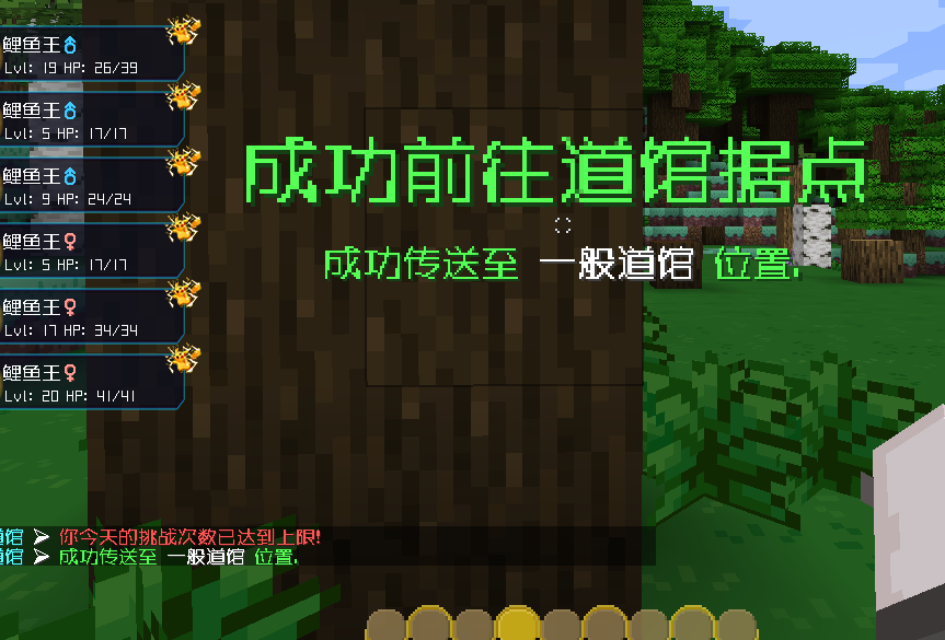 图片[9]-XinxinPokeGym — 玩家精灵道馆系统|自动审核玩家队伍[1.12.2-1.16.5-1.20.2]-Minecraft新鑫个人学习分享站