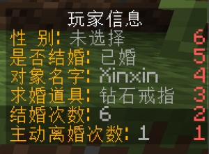 XinxinMarry — 不一样的结婚插件 [全版本]-Minecraft新鑫个人学习分享站
